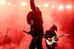 ACR_COL26_Kos-6883 ACR_COL26_Kos-6883