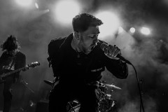 ACR_COL26_Kos-7326 ACR_COL26_Kos-7326