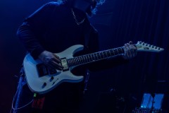 ACR_COL26_Kos-7335 ACR_COL26_Kos-7335