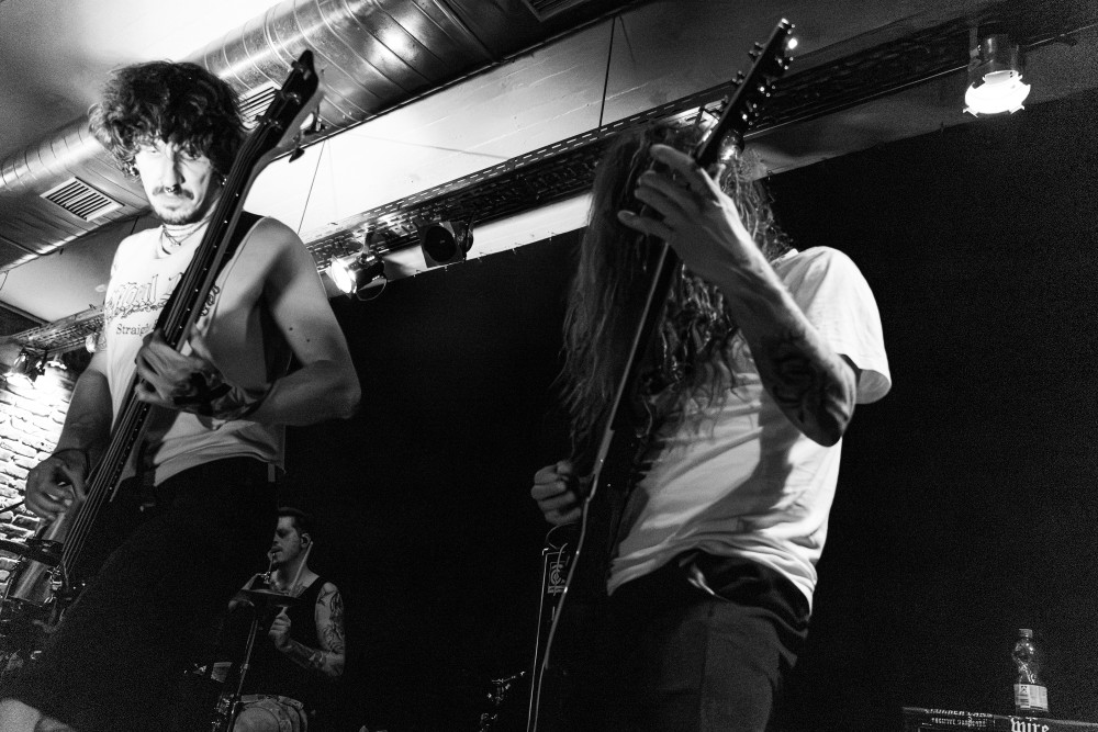 Clearcut_Hamm_Kos-59