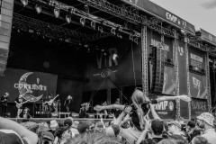 2025_currents_Vainstream_JKos-03