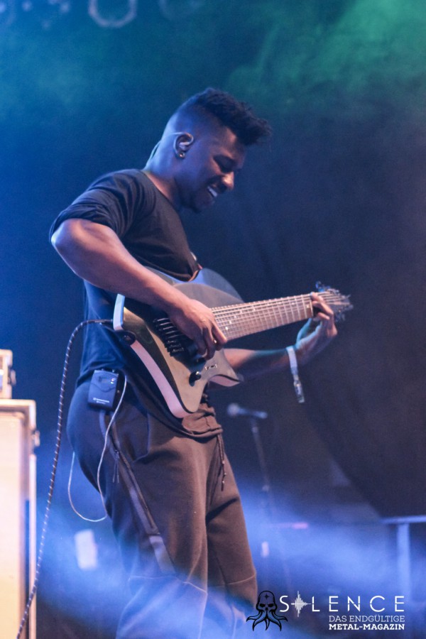 Animals as Leaders-8