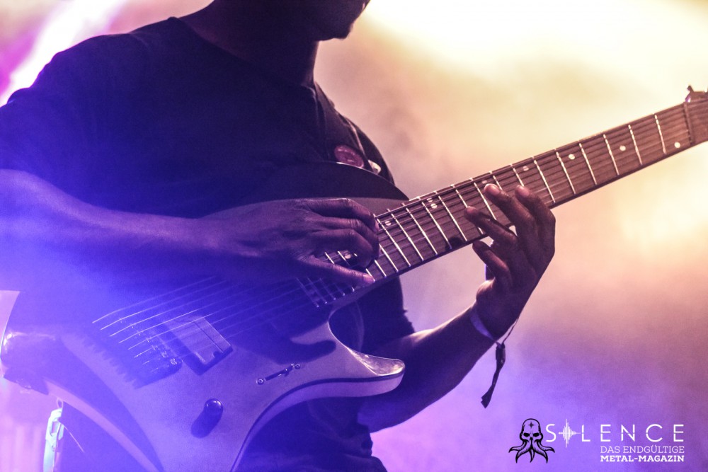 Animals as Leaders-9