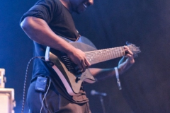 Animals as Leaders-8