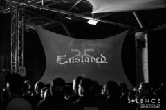 Enslaved (14)