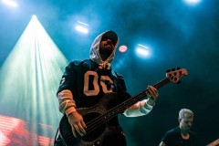 FFK_COL26_Kos-8683 FFK_COL26_Kos-8683