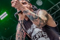 2025_StrayFromThePath_JKos-14