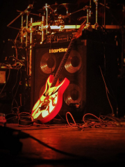 Gitarre passend zum Look