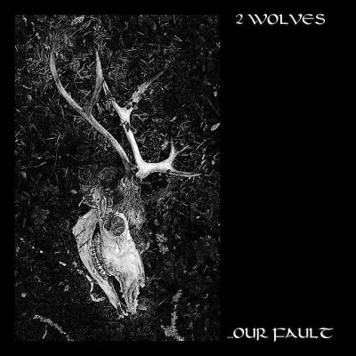 2-wolves-our_fault-cover